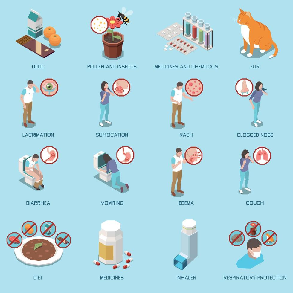 Allergie isometrische Infografik-Set vektor