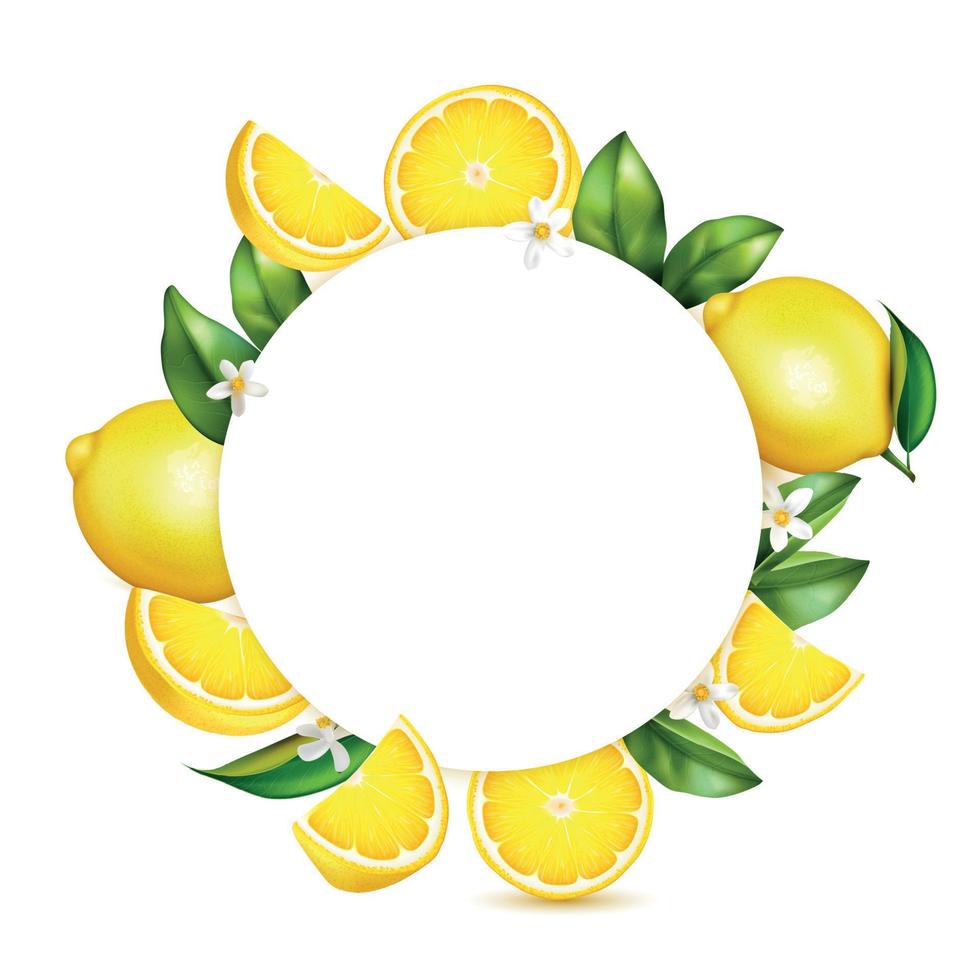 citrus citron realistisk ram vektor