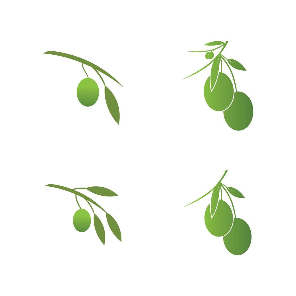 Olivenikonen-Vektorillustration vektor