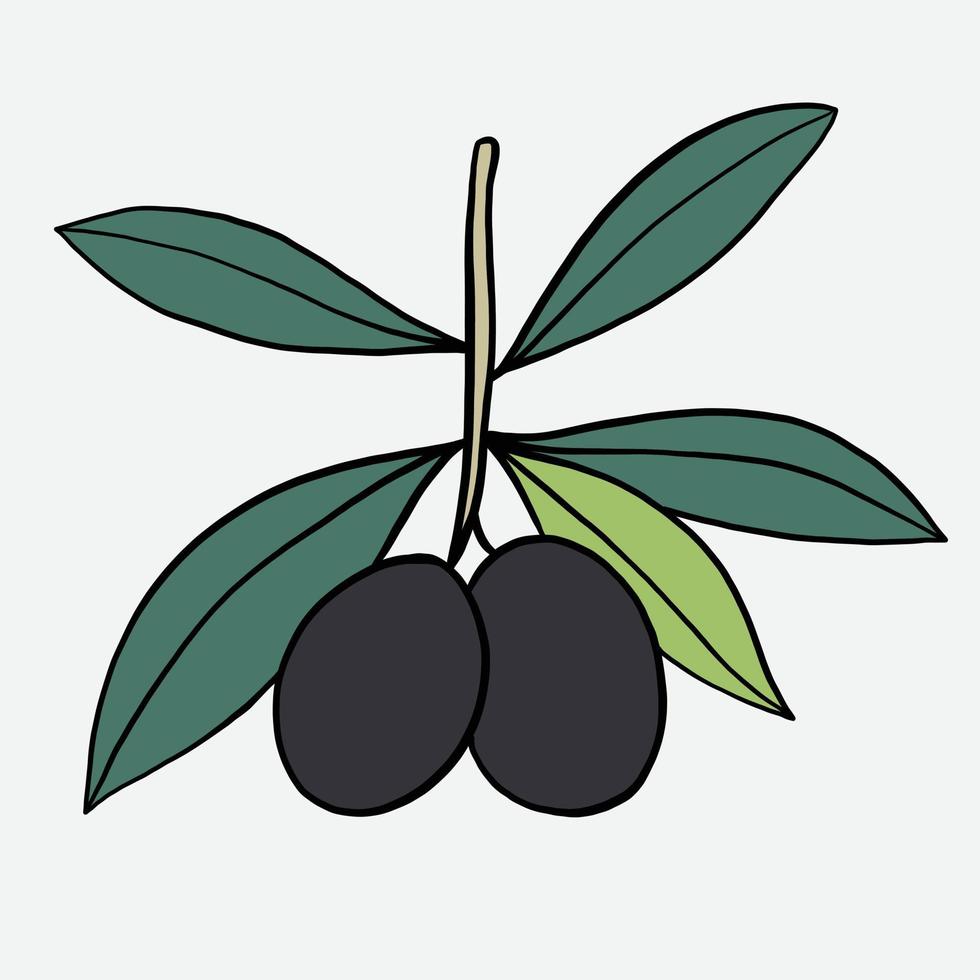 doodle frihandsskissritning av olivfrukt. vektor