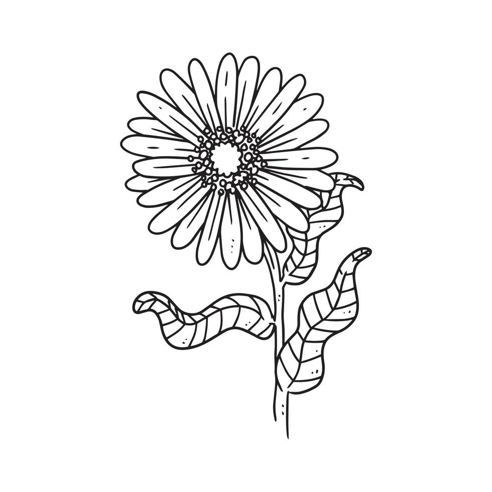 en vacker konturillustration av en tusensköna med stjälk. blomma handritad illustration samling för blommönster. en elementdekoration för bröllopsinbjudan, gratulationskort, tatuering, etc. vektor