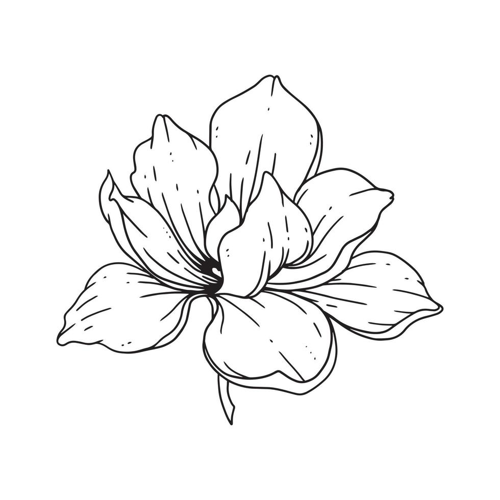 eine schöne Blume im Umrissstil illustriert. Blumenhand gezeichnete Illustrationssammlung für Blumenmuster. eine Elementdekoration für Hochzeitseinladungen, Grußkarten, Tätowierungen usw. vektor