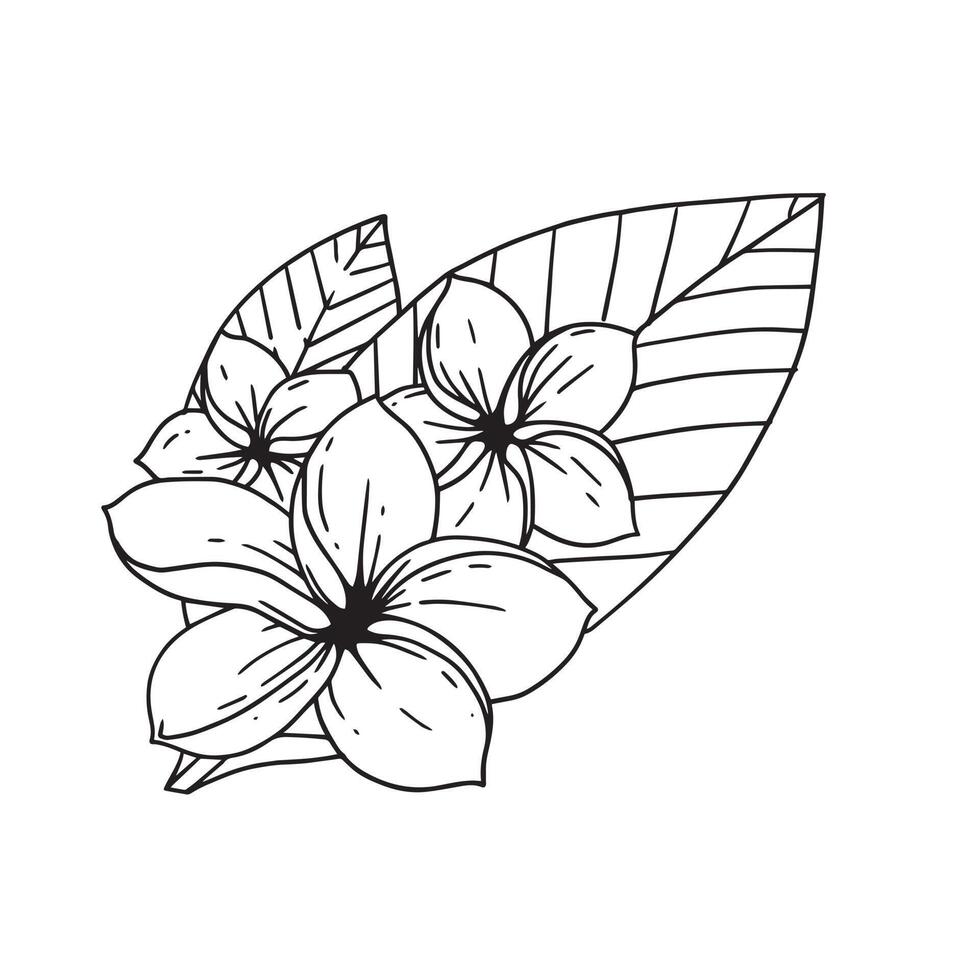 Adenium im Umrissstil illustriert. Blumenhand gezeichnete Illustrationssammlung für Blumenmuster. eine Elementdekoration für Hochzeitseinladungen, Grußkarten, Tätowierungen usw. vektor