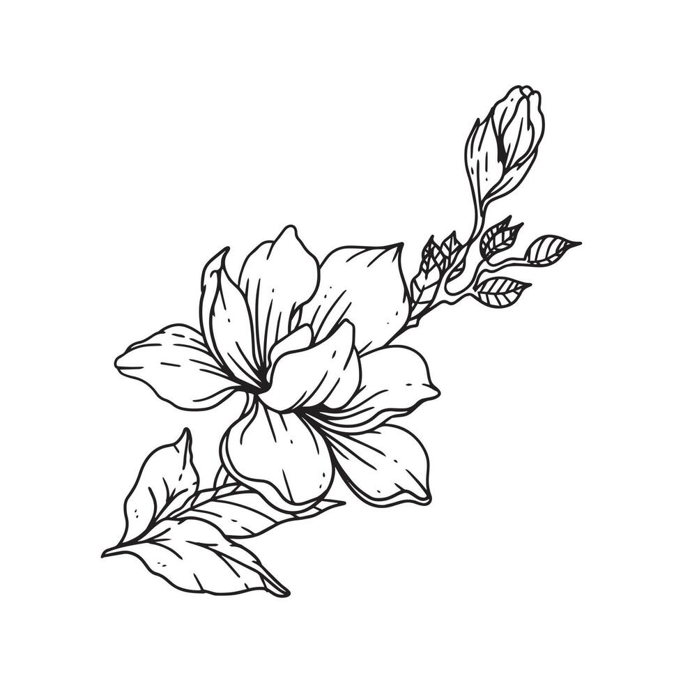 eine schöne Blume im Umrissstil illustriert. Blumenhand gezeichnete Illustrationssammlung für Blumenmuster. eine Elementdekoration für Hochzeitseinladungen, Grußkarten, Tätowierungen usw. vektor