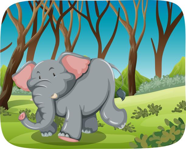 Elefant, der in Wald läuft vektor