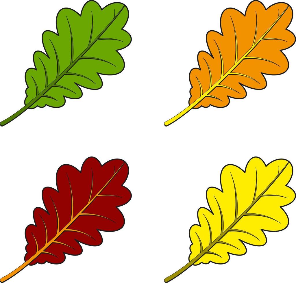 Herbst Eichenlaub auf weißem Hintergrund, Vektor-Icons vektor