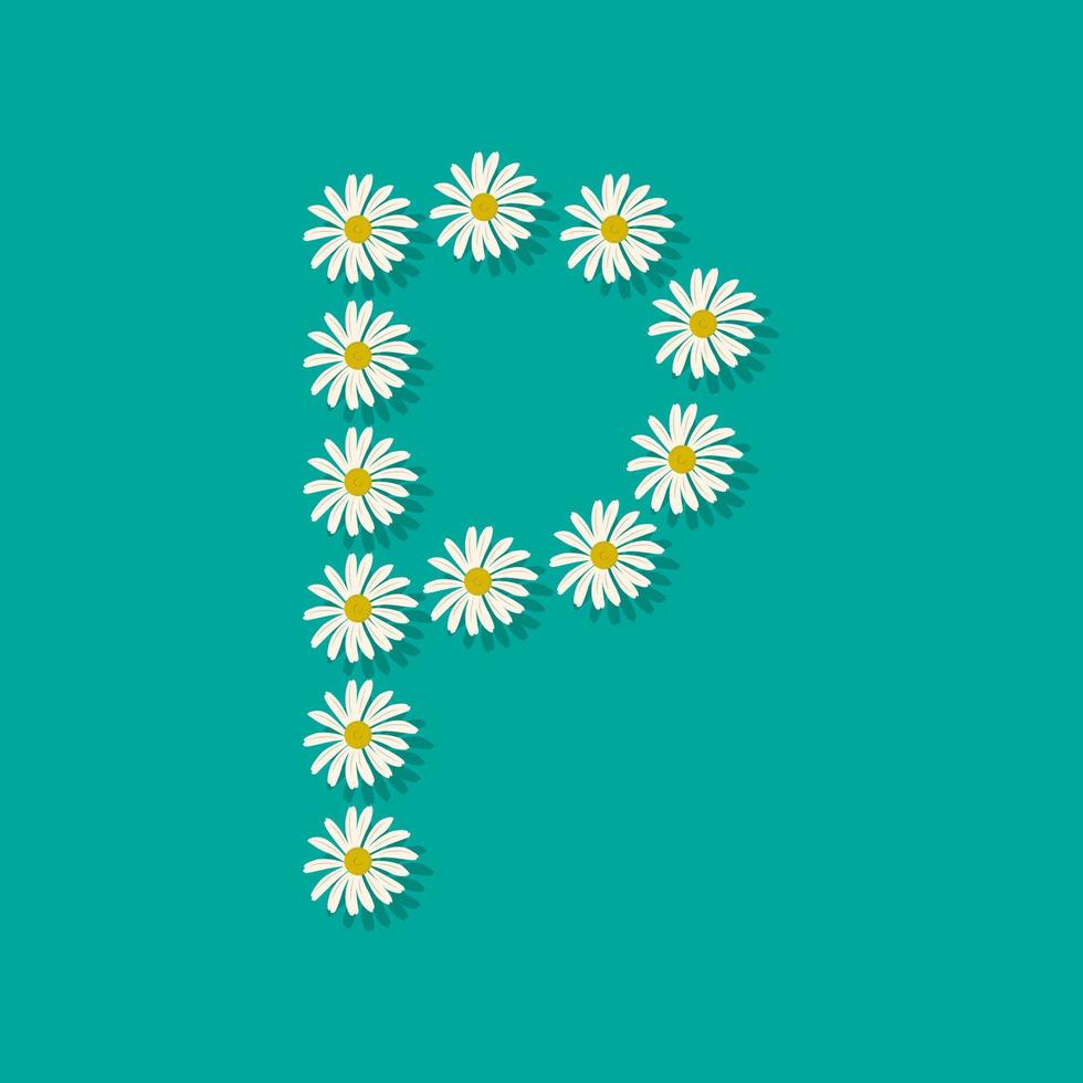 bokstaven p från vita kamomillblommor. festlig typsnitt eller dekoration för våren eller sommaren semester och design. platt vektor illustration