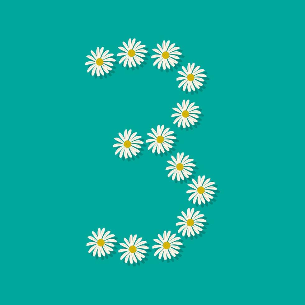 Nummer drei aus weißen Kamillenblüten. festliche Schriftart oder Dekoration für Frühlings- oder Sommerferien und Design. flache Vektorgrafik vektor