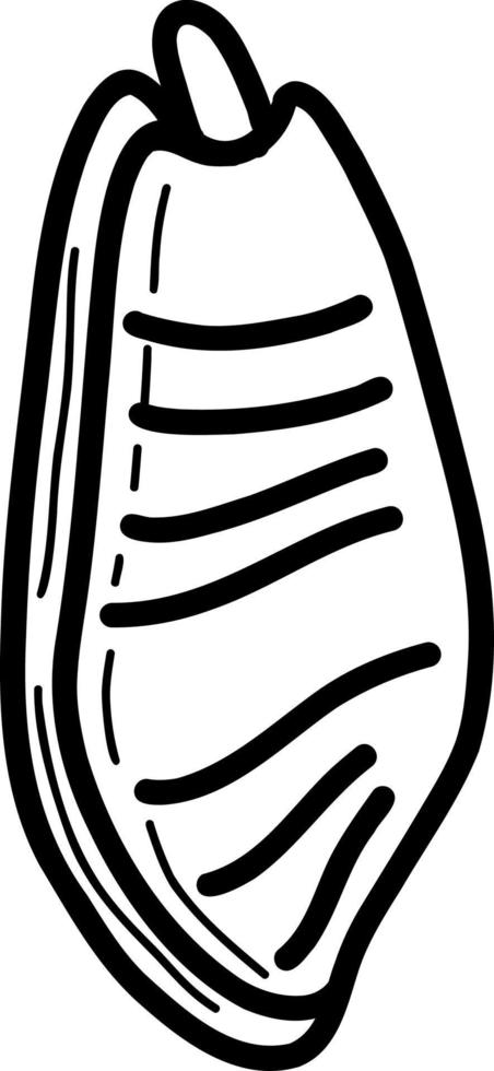 Muschel. Vektorillustration im Doodle-Stil vektor