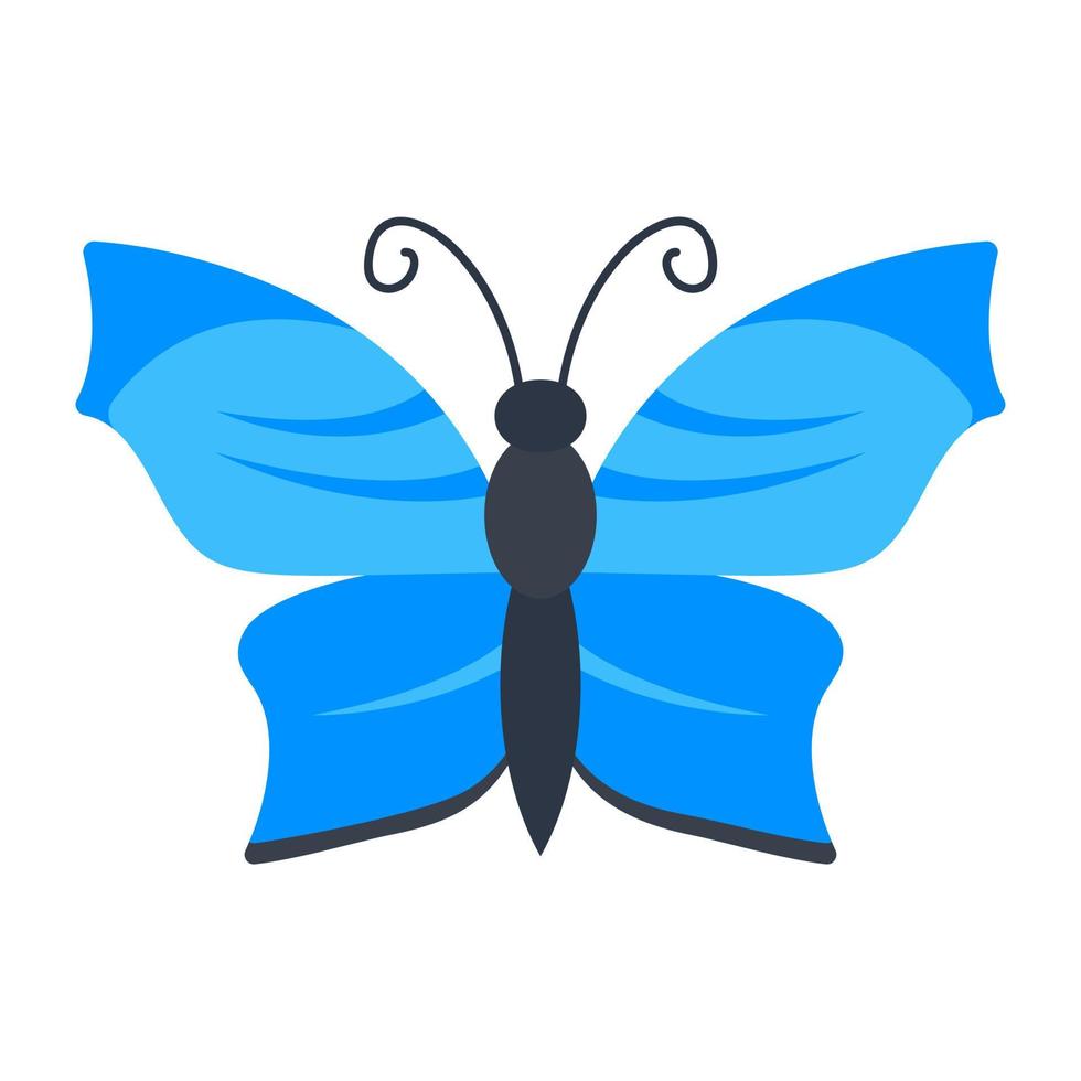 Birdwing-Schmetterlingskonzepte vektor
