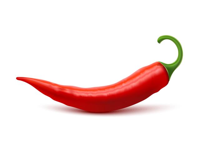 red hot chili pepper realistisk bild vektor