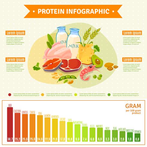 Gesundes Protein-Nahrungsmittelinfographic-flaches Plakat vektor