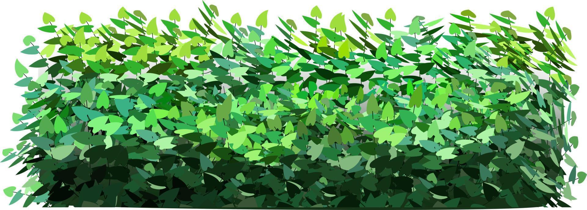 prydnadsgrön växt i form av en häck.murgrönabåge.realistisk trädgårdsbuske, säsongsbuske, buxbom, trädkrona buskbladverk. vektor