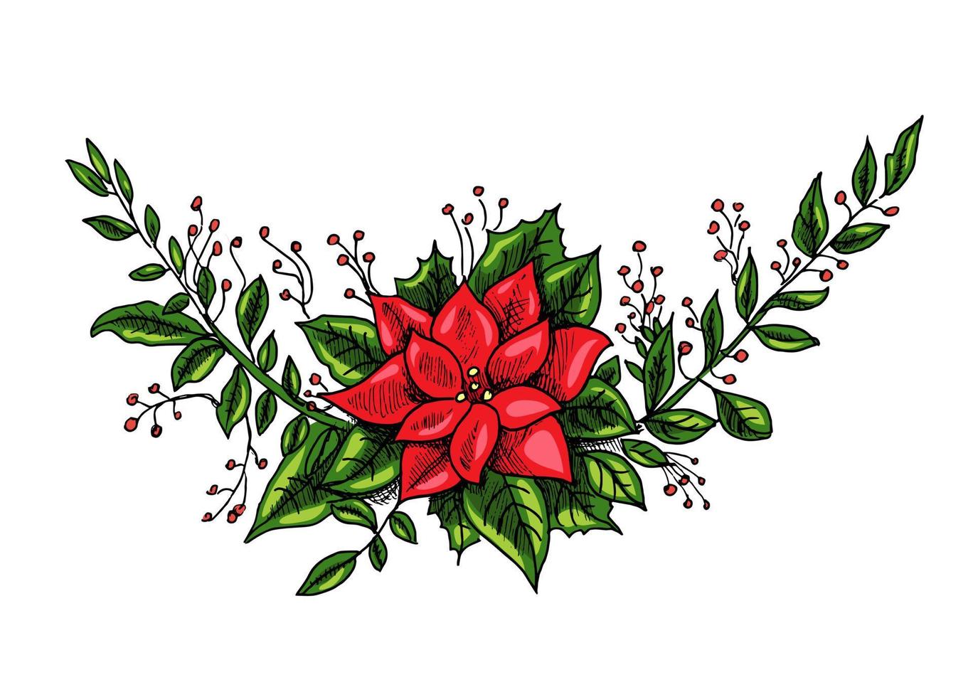 eine handgezeichnete Skizze eines eleganten Zweiges mit Beeren und Weihnachtsstern. neues Jahr und Weihnachtsillustration. Neujahrsdekor, Vektorillustration. vektor