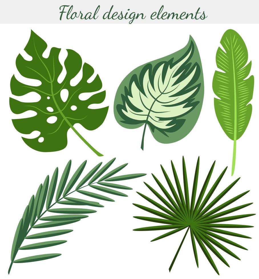 uppsättning exotiska tropiska blad av monstera, palm, banan. vektor färgbild isolerad på vit bakgrund.