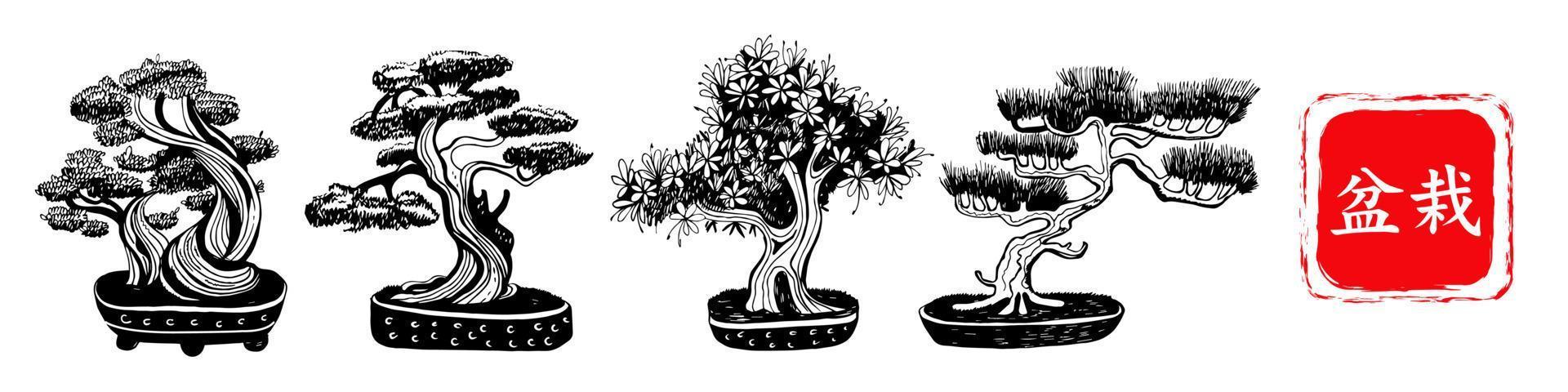 set med 4 bonsaiträd. vektor handritad svartvit illustration på en vit bakgrund. inskription med japanska bonsai-tecken.