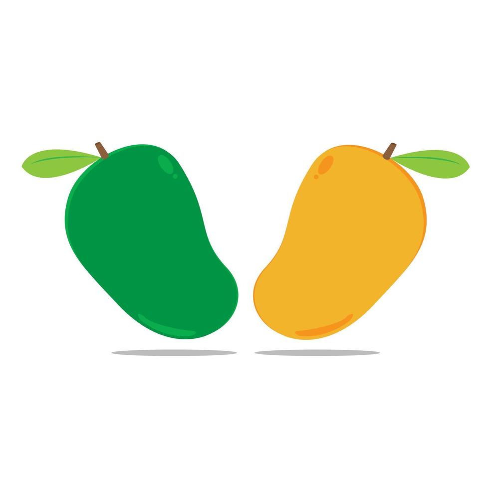 Mango kann geschäftlich verwendet werden vektor