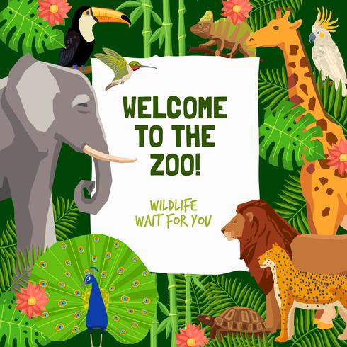 Buntes Plakat mit Einladung, Zoo zu besuchen vektor