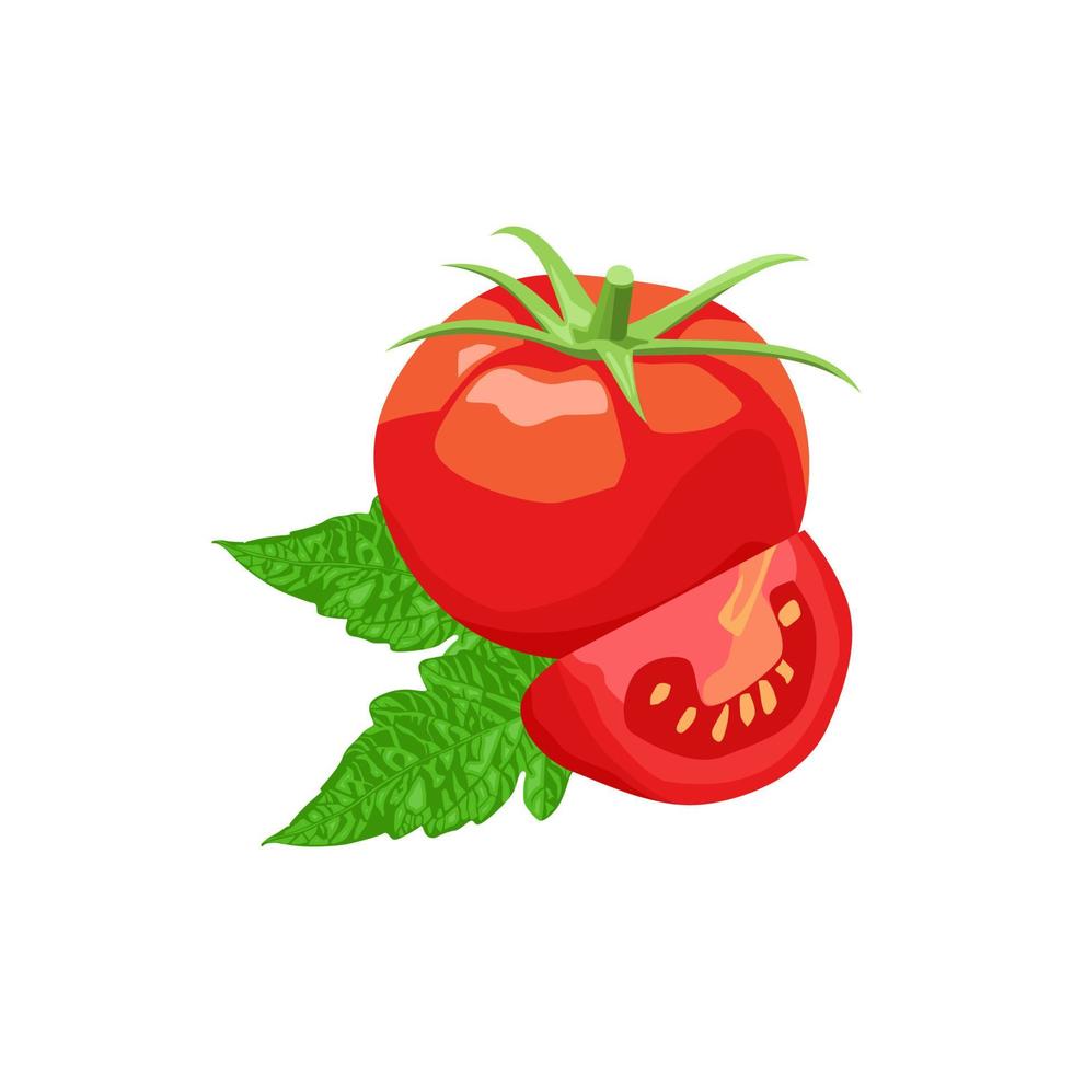 tomat med skuren bit och blad isolerade vektor vit bakgrund
