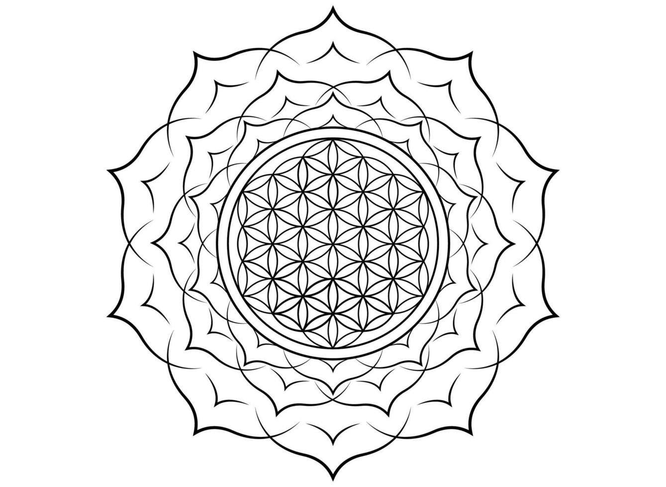 Blume des Lebens, Yantra Mandala in der Lotusblume, heilige Geometrie. Schwarzes Tattoo-Symbol für Harmonie und Ausgeglichenheit. mystischer Talisman, Vektor isoliert auf weißem Hintergrund