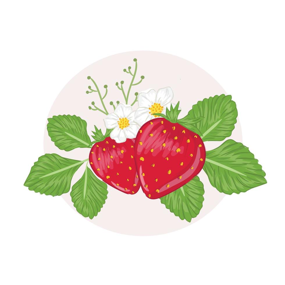handritad jordgubbe med blad och blomma vektor