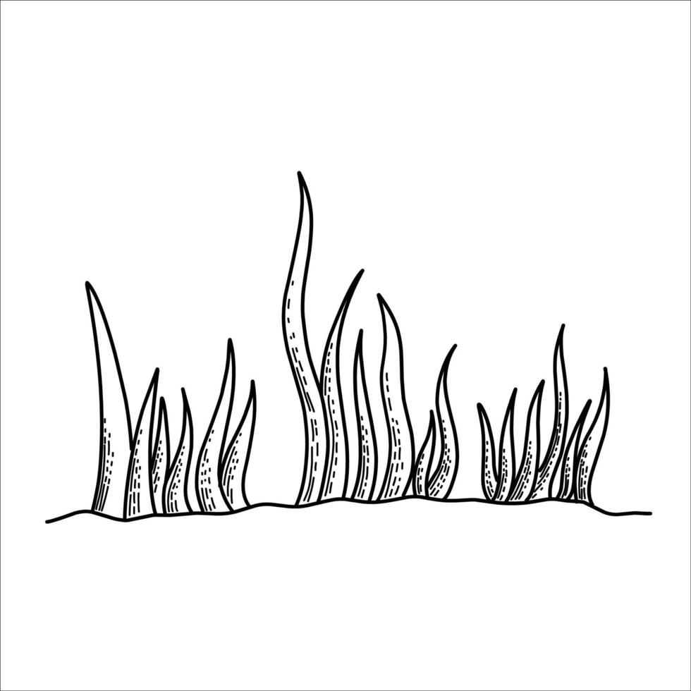 Gras-Vektor-Silhouette-Zeichnungsskizze vektor