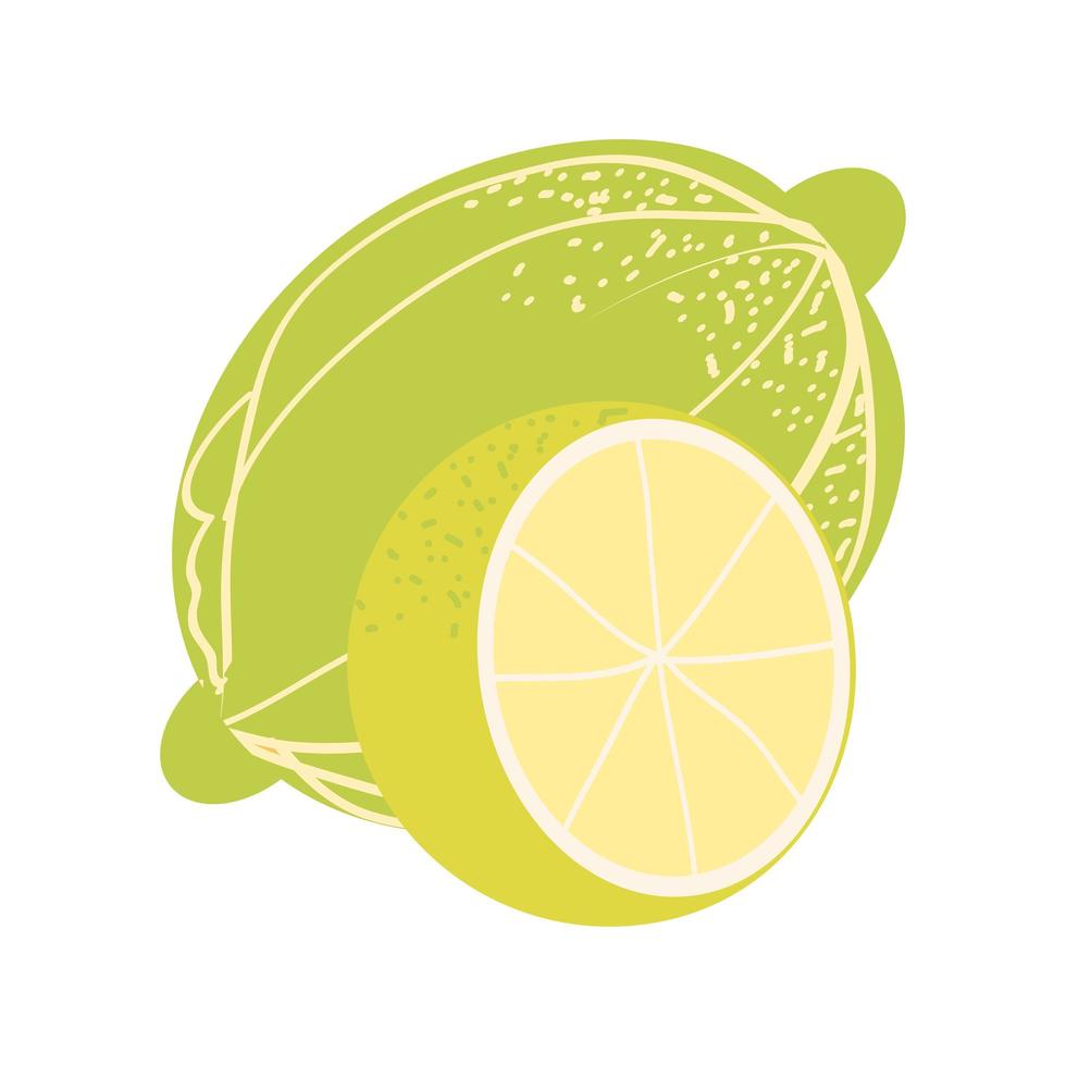 Zitrone frisch Symbol vektor