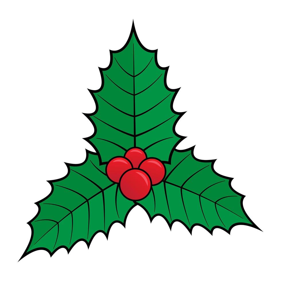 heliga julblad isolerad på vit bakgrund. illustration vektorgrafik av julens heliga löv bra för element eller del av juldesign vektor