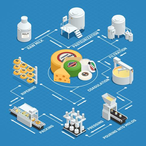 Isometrisches Flussdiagramm der Käseproduktionsfabrik vektor