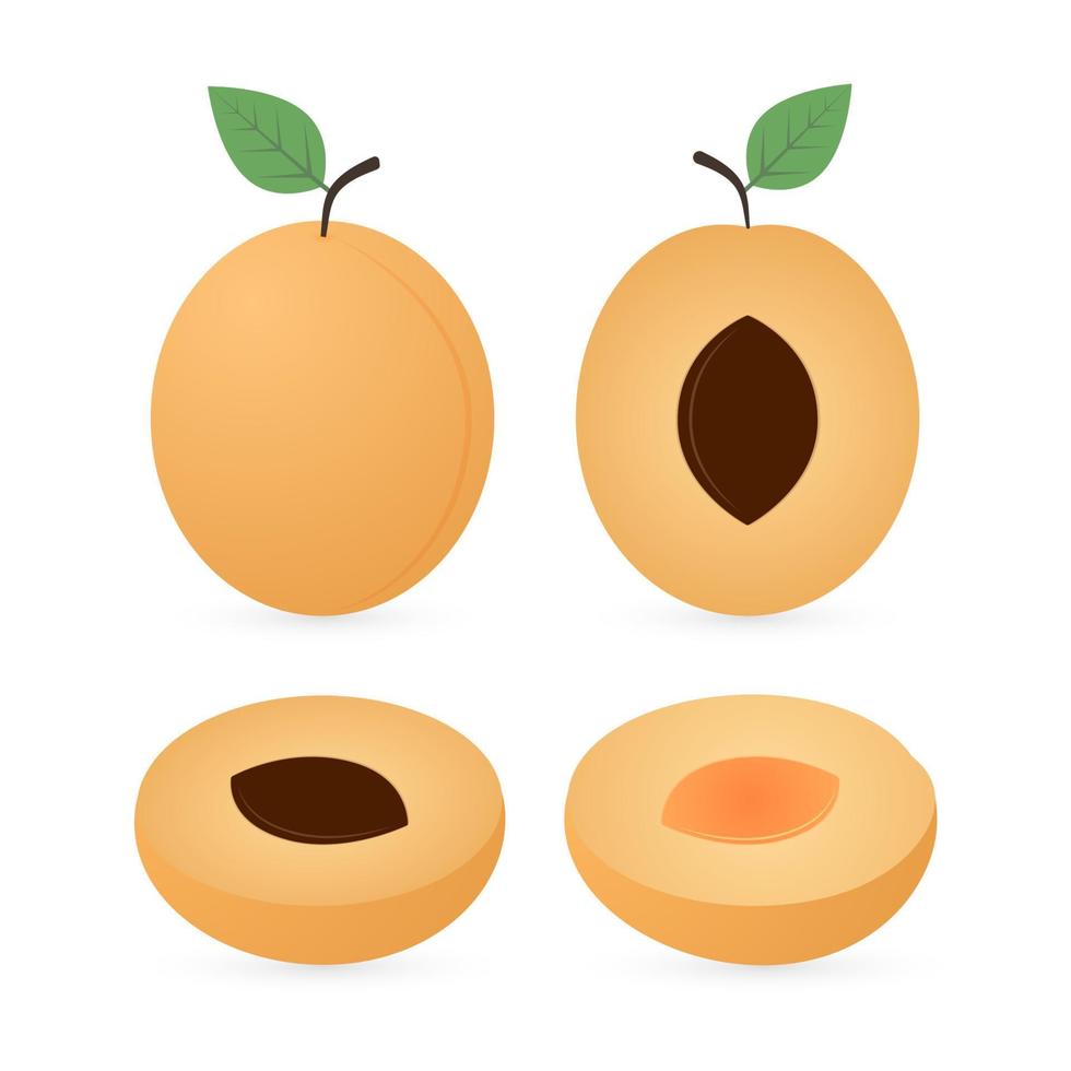 set av aprikoser med gröna blad hela, skurna, hälften. aprikos platta ikoner isolerade på vitt. färsk frukt vektor illustration. begreppet hälsosam mat eller jordbruk.