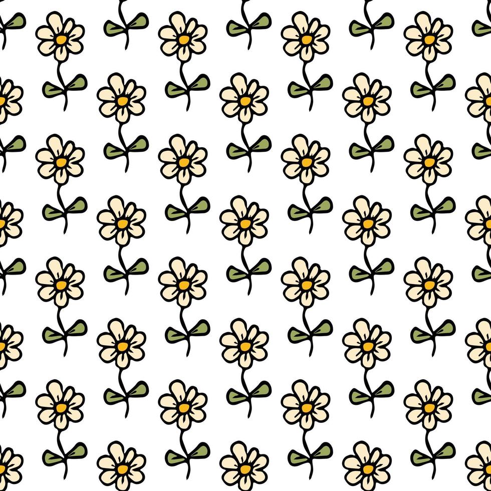 seamless mönster med blommor. blommig bakgrund. kamomillblommor isolerad på vit bakgrund vektor