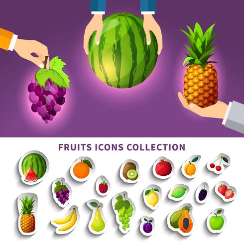 Frukt ikoner samling vektor
