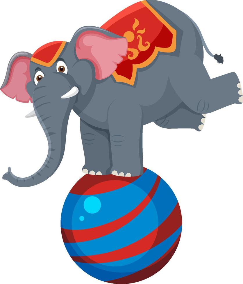elefantens prestanda balanserar på bollen vektor