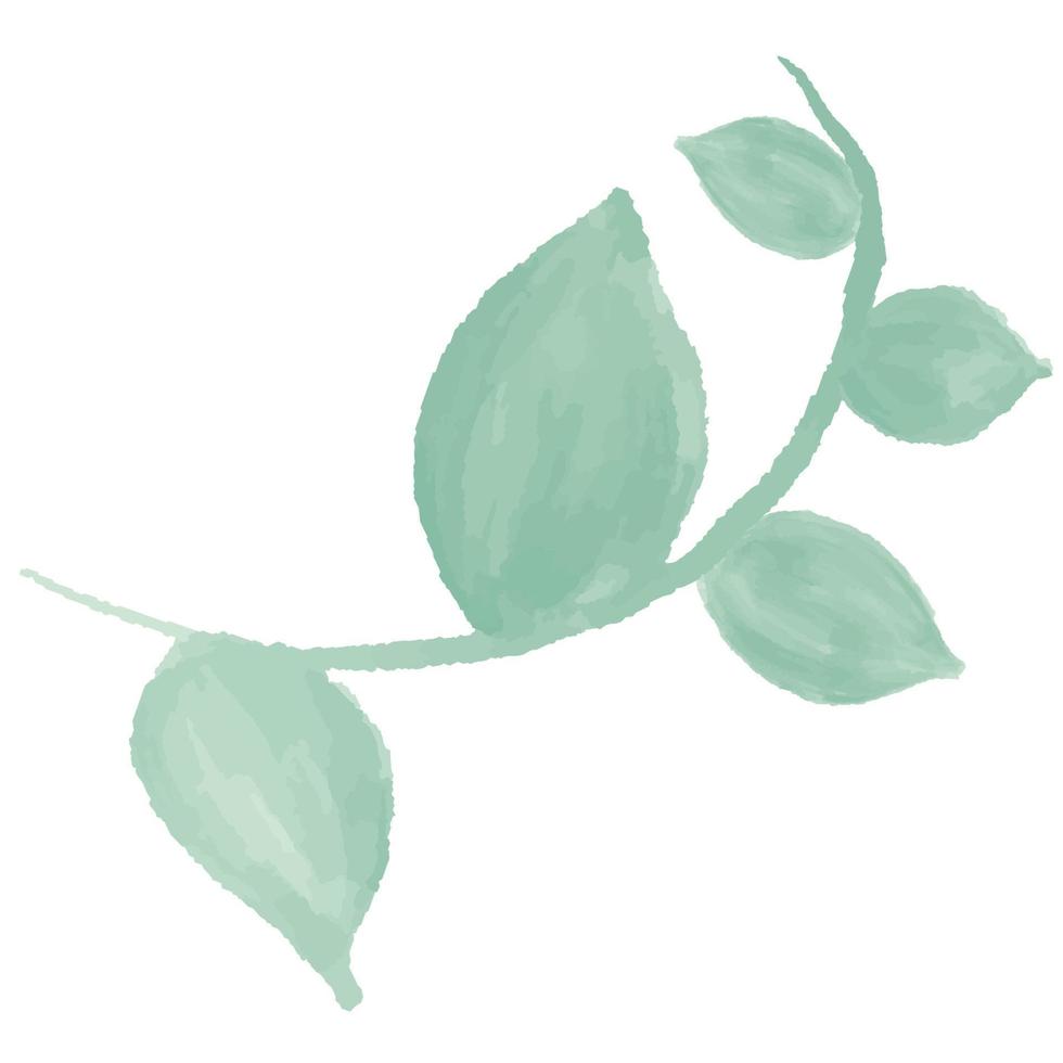 grön gren med löv. akvarell blad gröna vektor