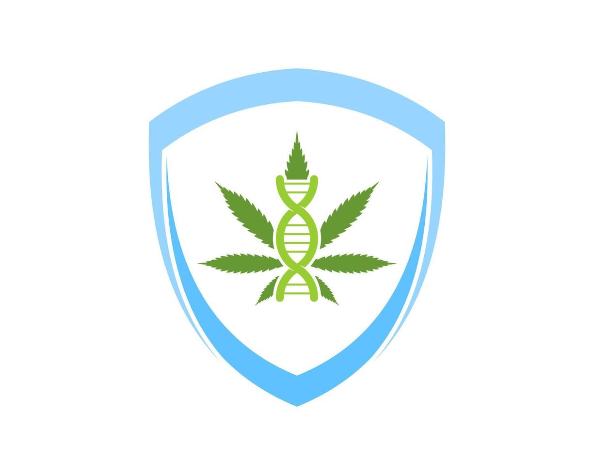 abstrakt sköld med cannabisblad och dna-symbol inuti vektor
