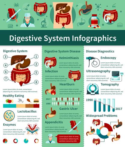 matsmältningssystemet platt infographics vektor