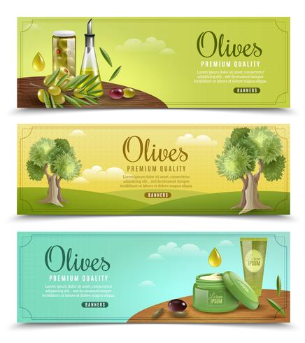 Olive Banners Set vektor