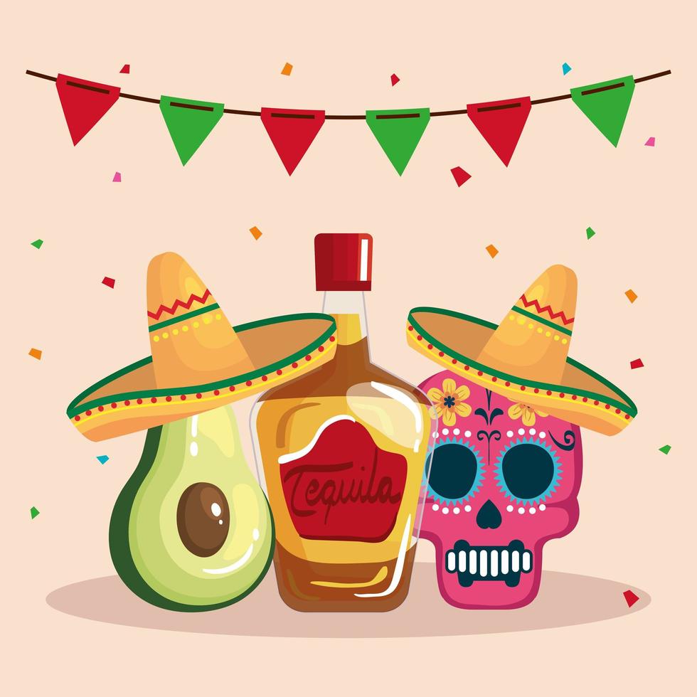 mexikansk tequilaflaska avokado och skalle med hatt vektordesign vektor