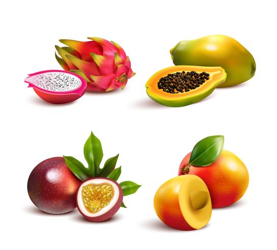 Reife tropische Früchte eingestellt vektor