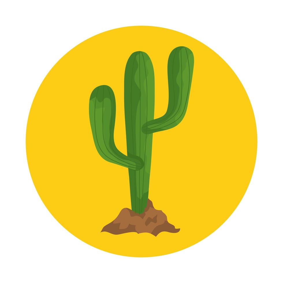 isolerad kaktus växt vektor design