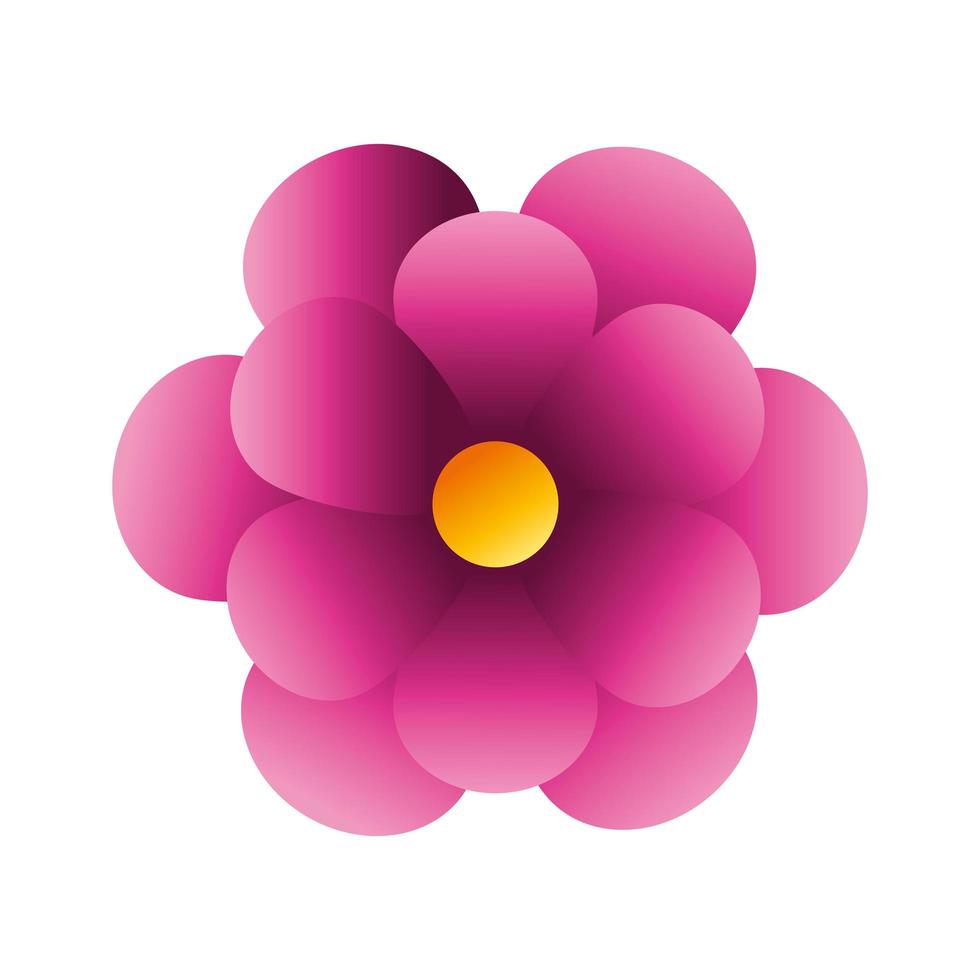 söt blomma rosa färg isolerade ikon vektor