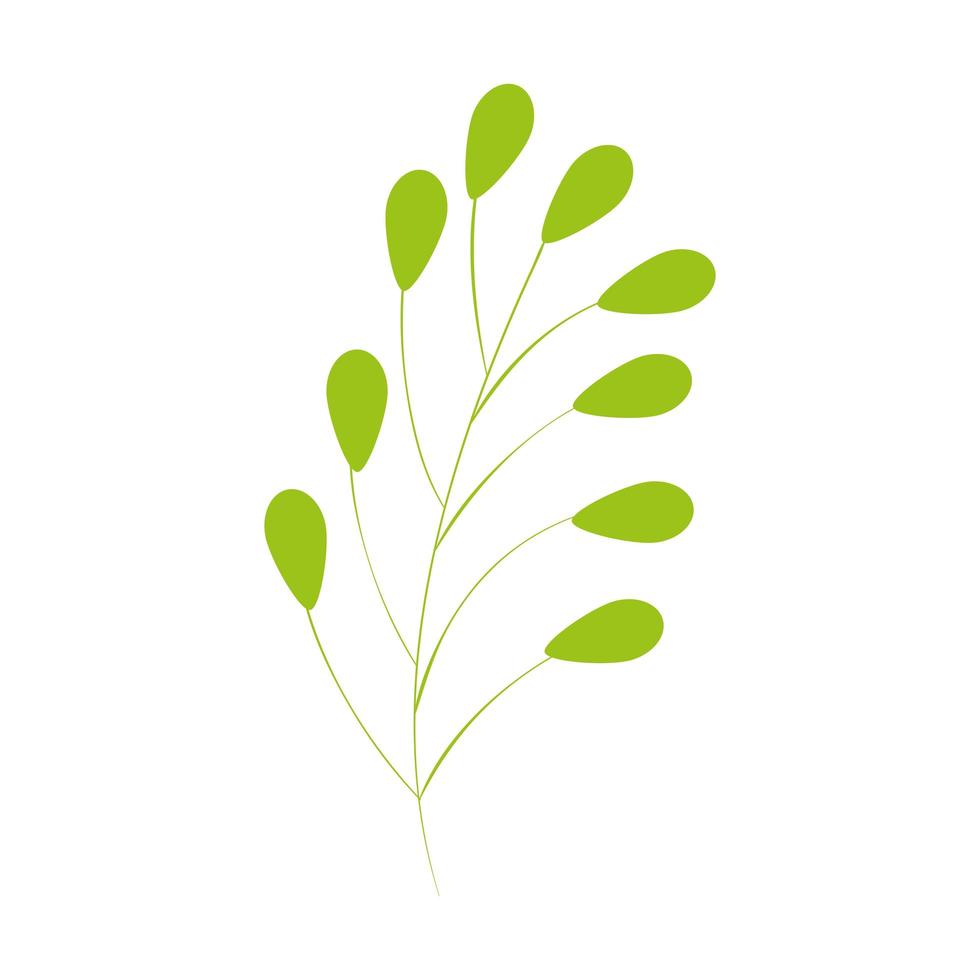gren med löv naturliga isolerade ikon vektor