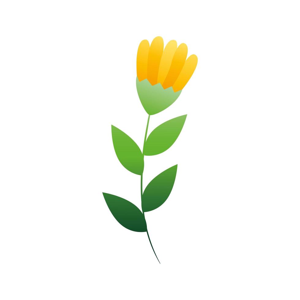 söt blomma gul färg med gren och blad isolerade ikon vektor