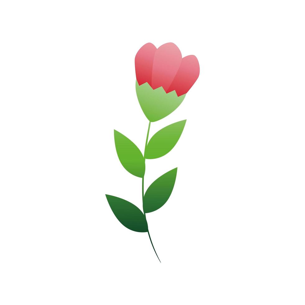 süße Blume roter Zweig und Blätter isolierte Symbol vektor
