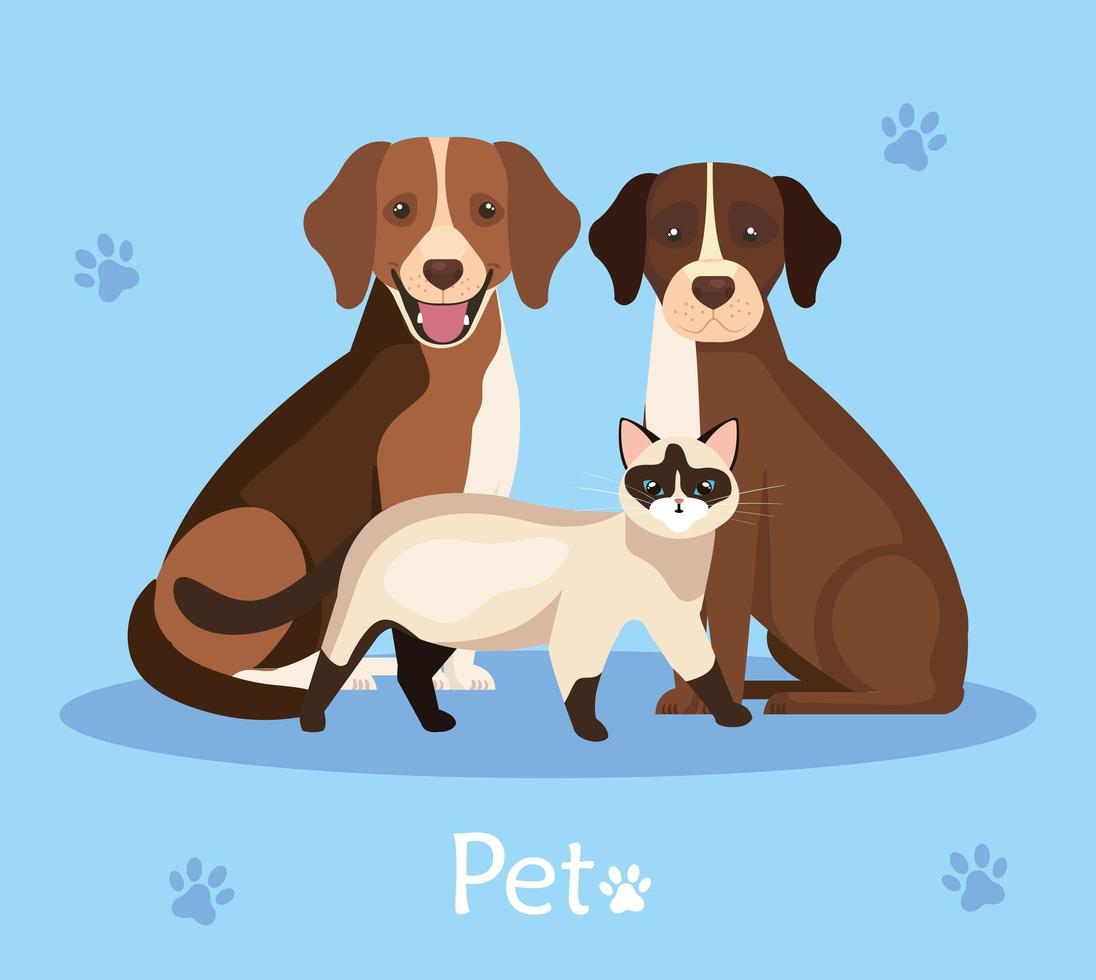 Gruppe von Hunden und Katzen im Hintergrund mit Pfotenabdrücken vektor