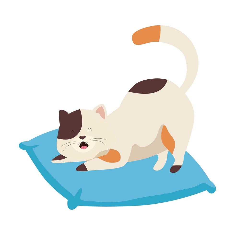 söt liten katt i kudde isolerade ikon vektor