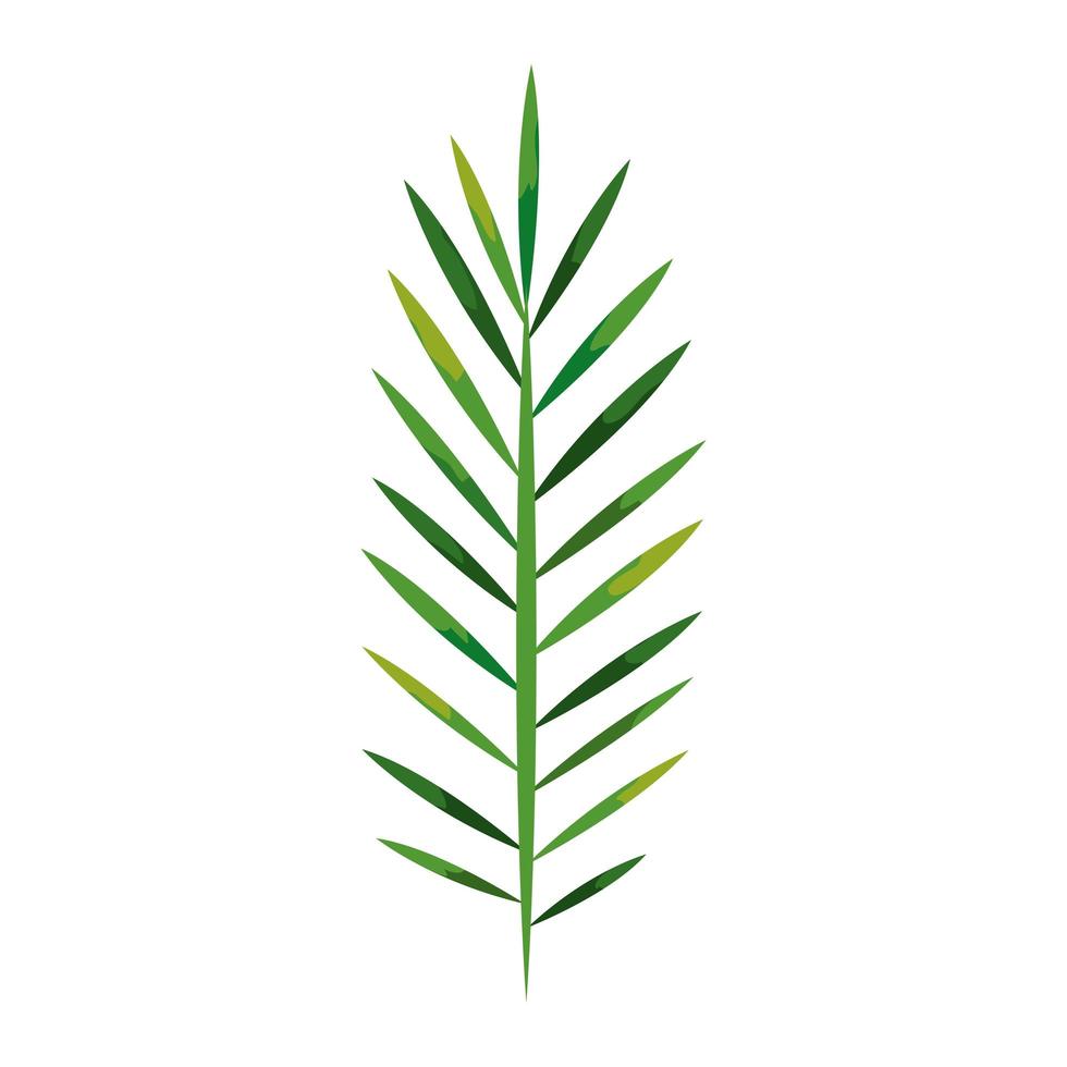 Zweig mit tropischen natürlichen Blättern isolierte Symbol vektor