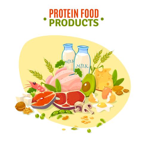 Protein-Nahrungsmittelprodukt-flaches Illustrations-Plakat vektor