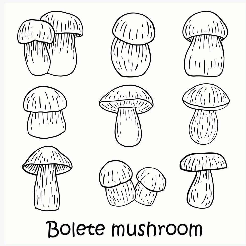 doodle freehand skiss ritning av bolete svamp samling. vektor