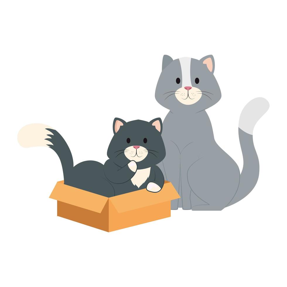 söta små katter med låda kartong isolerad ikon vektor